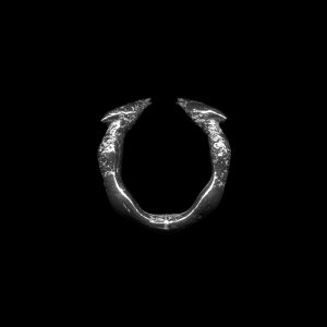 FOUR SHARP CLAWS RING