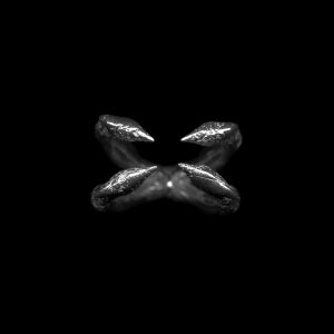 FOUR SHARP CLAWS RING